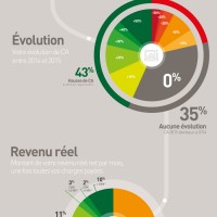 infographie bilan remuneration 2015 des creatifs freelances